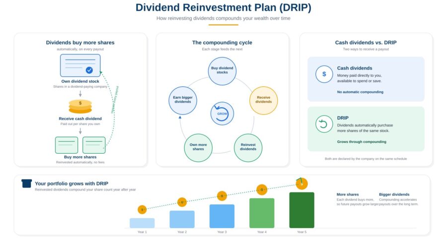 Dividend Reinvestment Plan infographic showing how dividends are automatically reinvested into additional shares to build long-term wealth.
